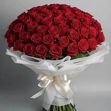 Букет 101 Красная роза Блэк Мэджик в Сандово