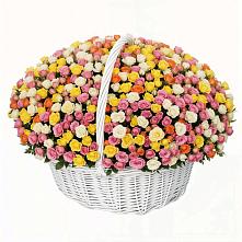 Премиум букет из: Розы в Сандово