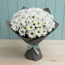 Букет цветов из:  Хризантемы в Сандово