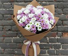 Букет цветов из:  Хризантемы #REPLACE_PRED# Сандово