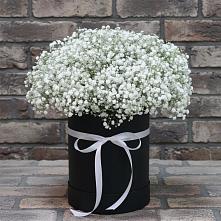 Цветочная композиция из Гипсофила в шляпной коробке #REPLACE_PRED# Сандово