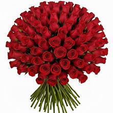 Букет Красные розы Чери Лав в Сандово