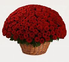 Премиум букет из: Розы в Сандово