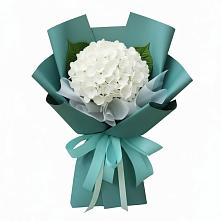 Букет цветов из:  Гортензия в Сандово
